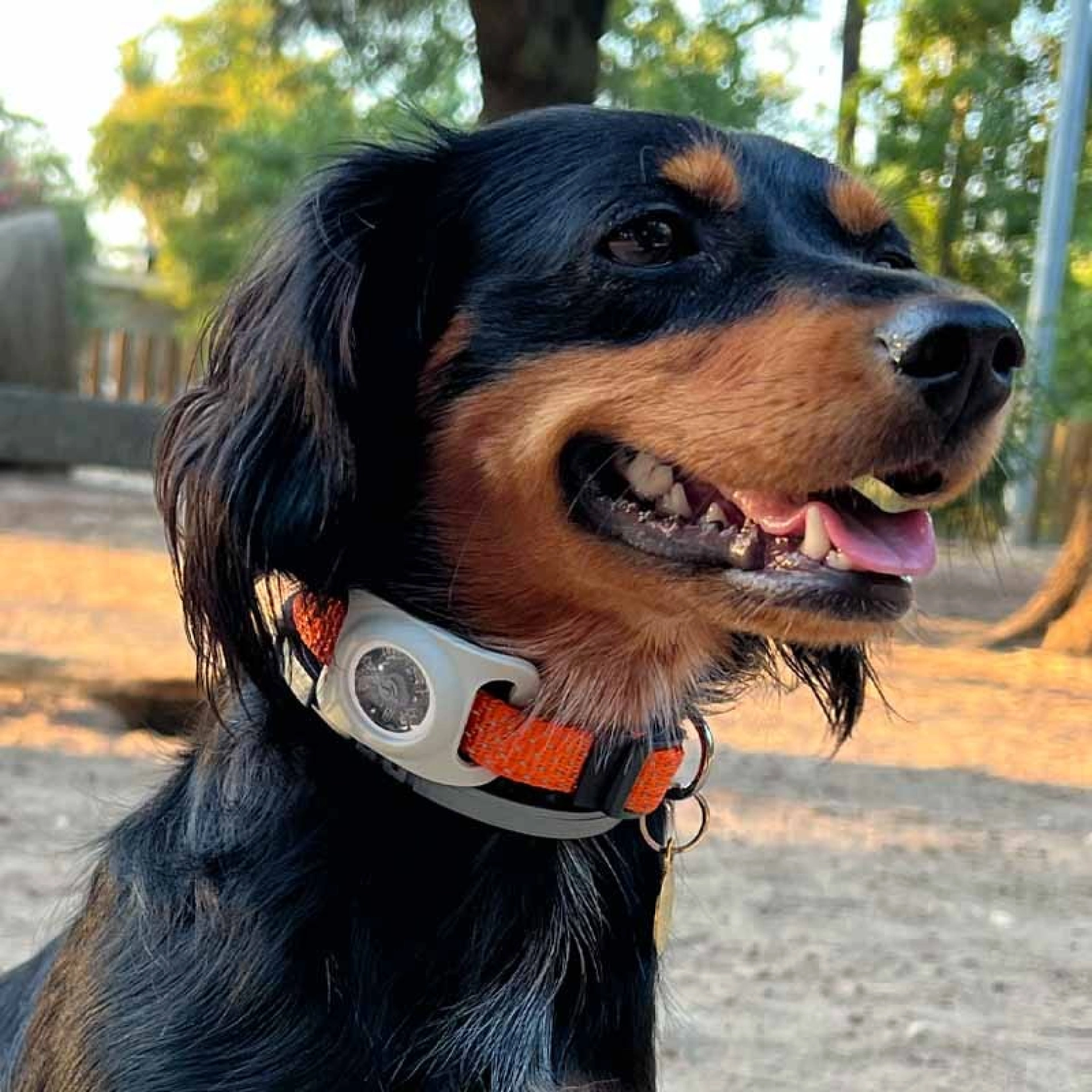 AirTag Collar Case