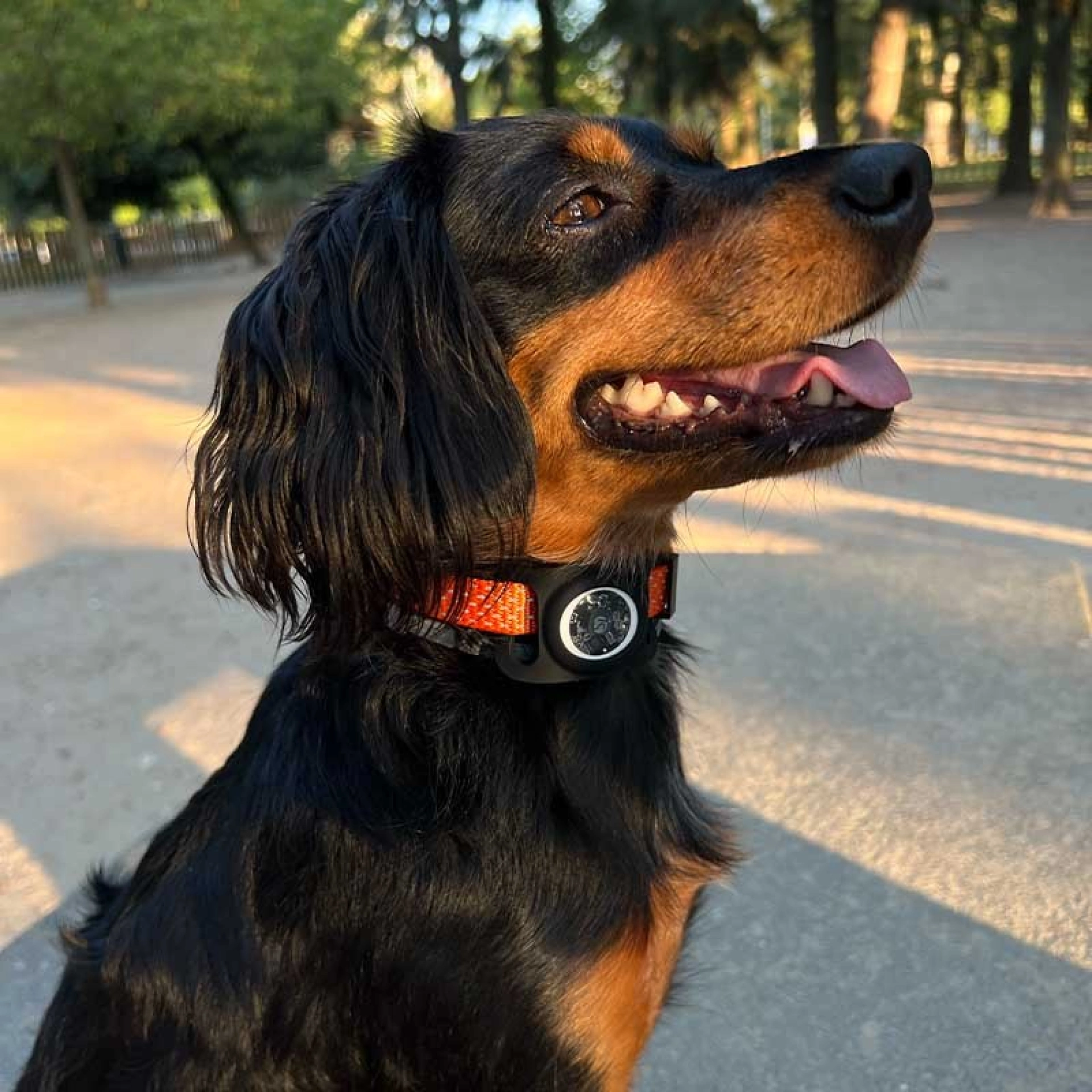 AirTag Collar Case