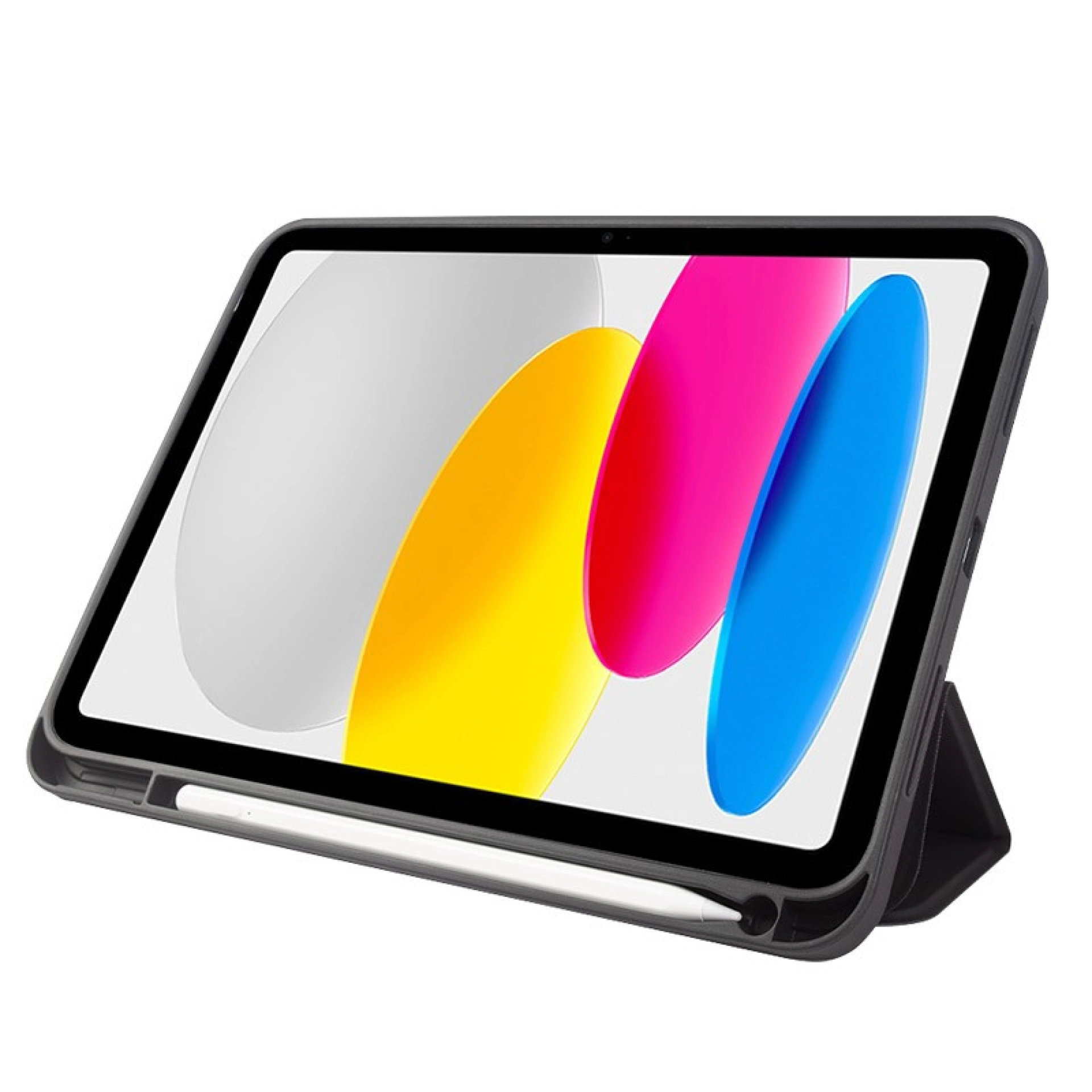 iPad Leather Case