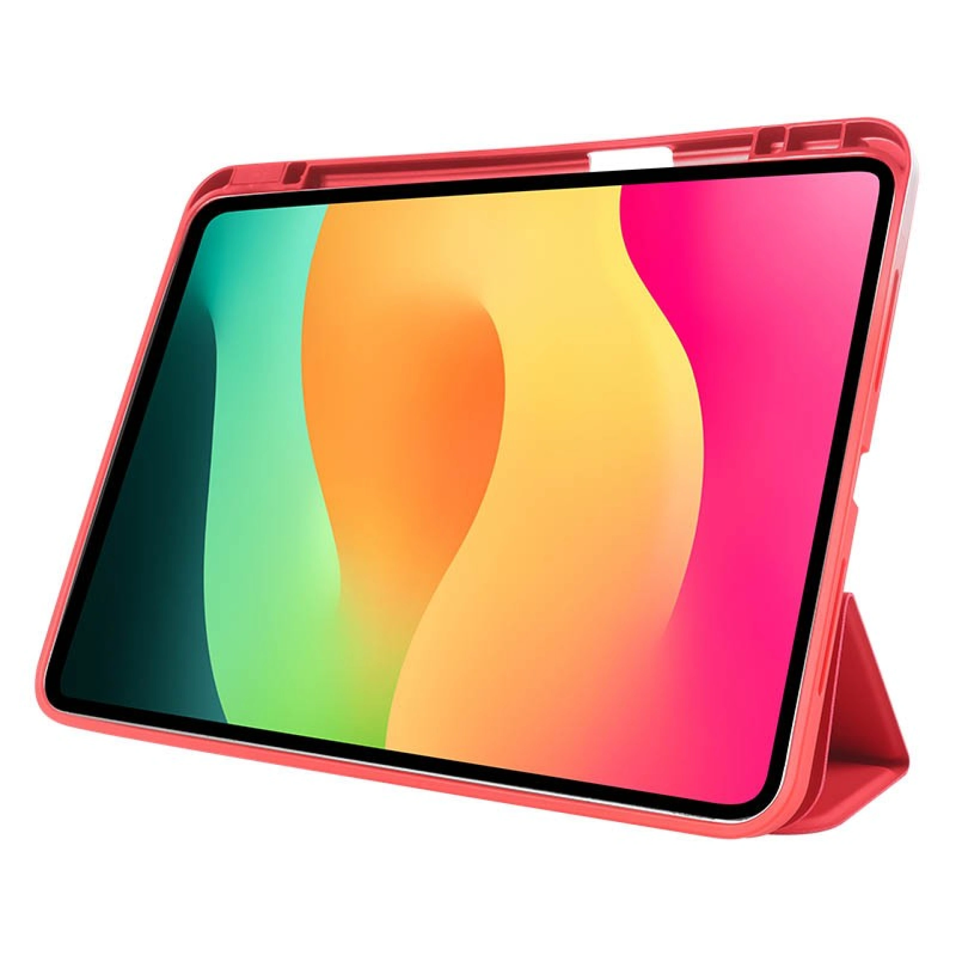 iPad Leather Case