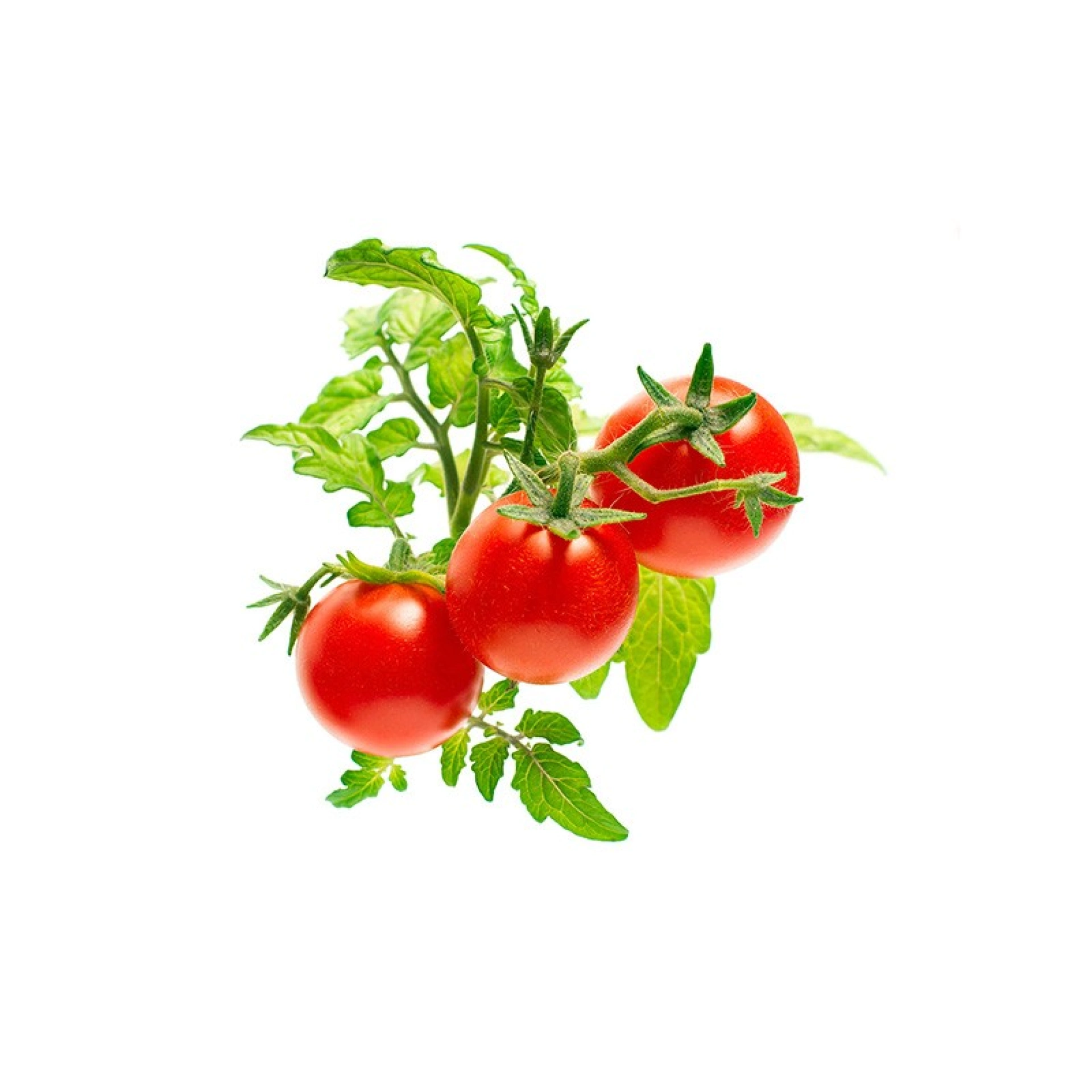 Click and Grow Plant Pods