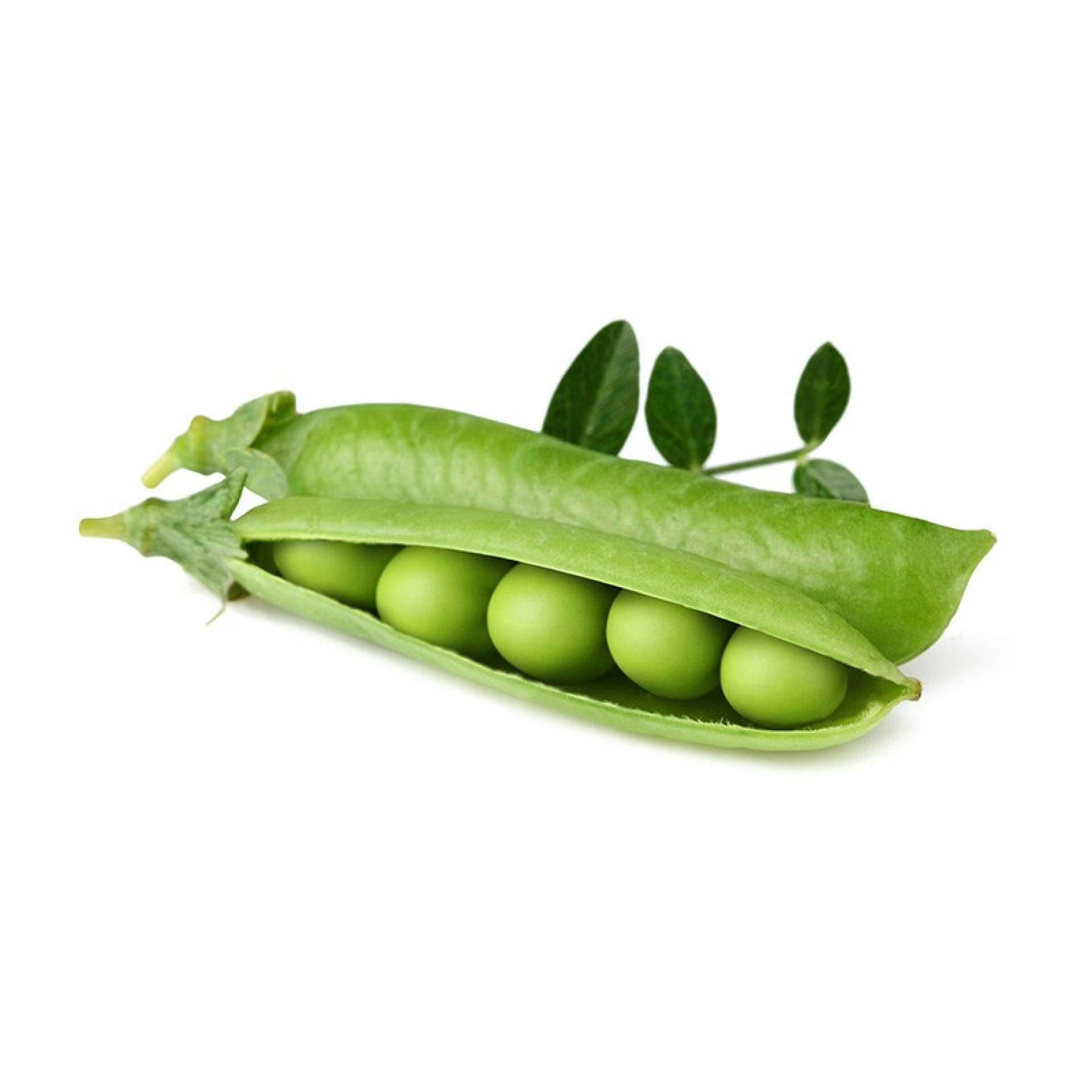 Click and Grow Plant Pods