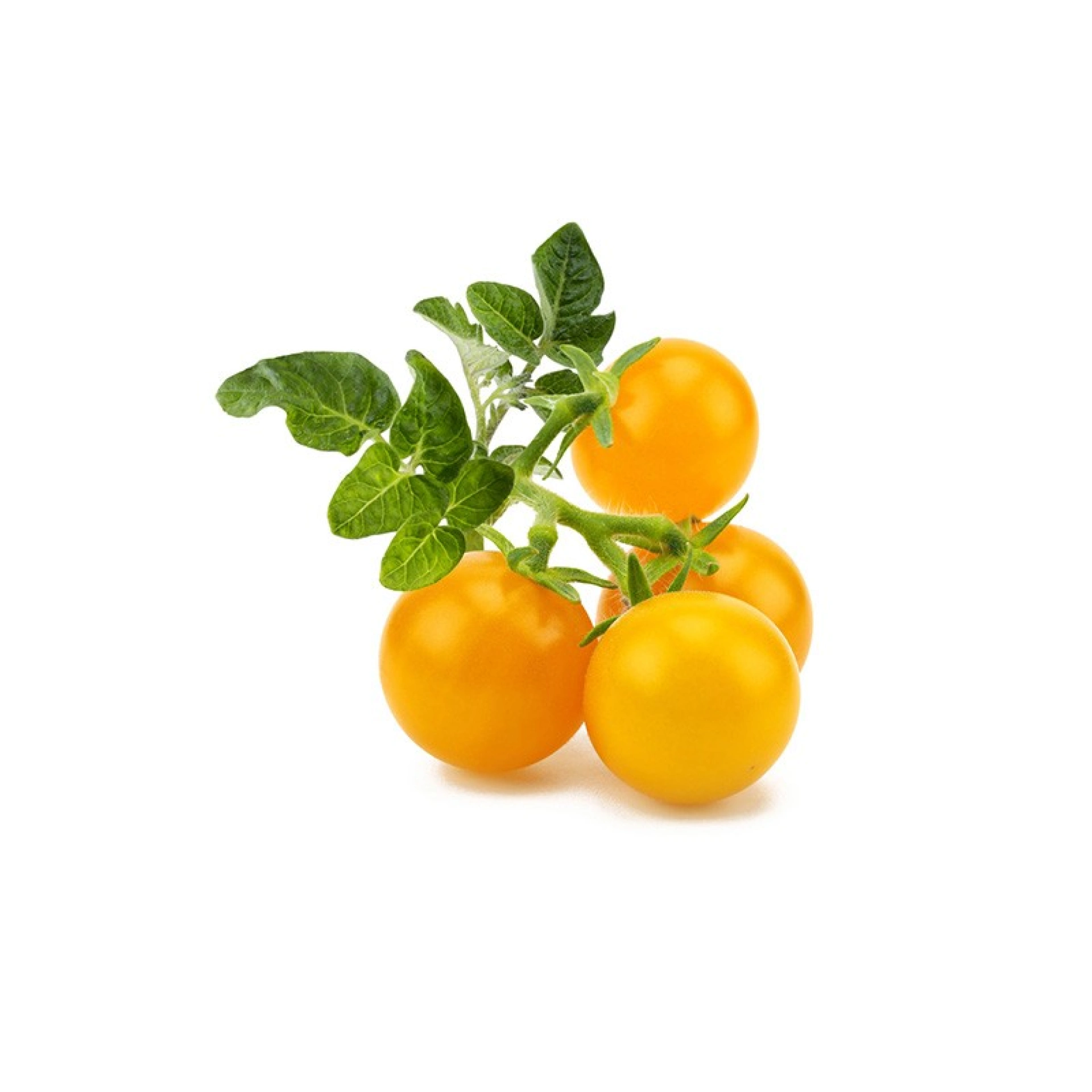 Click and Grow Plant Pods