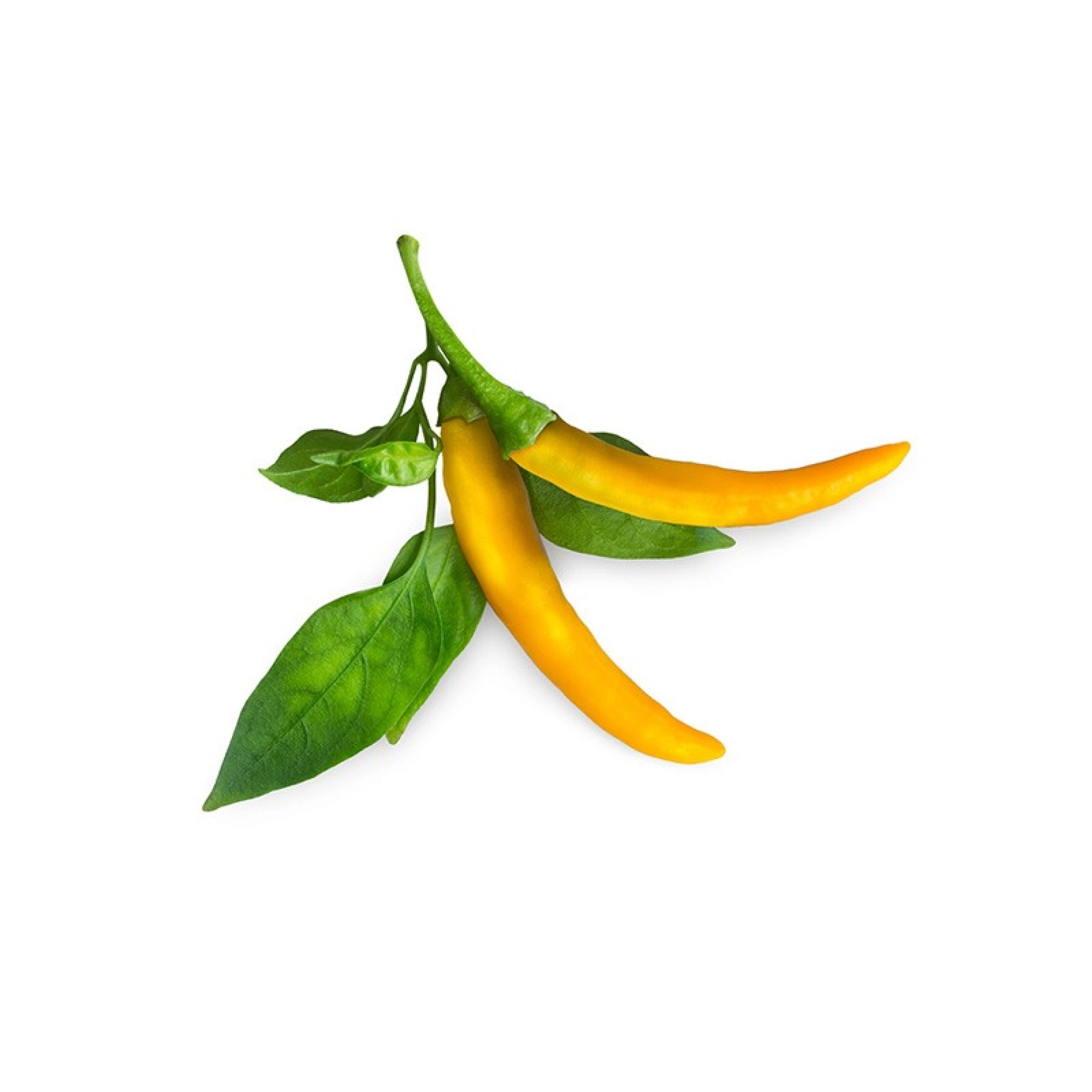 Click and Grow Plant Pods