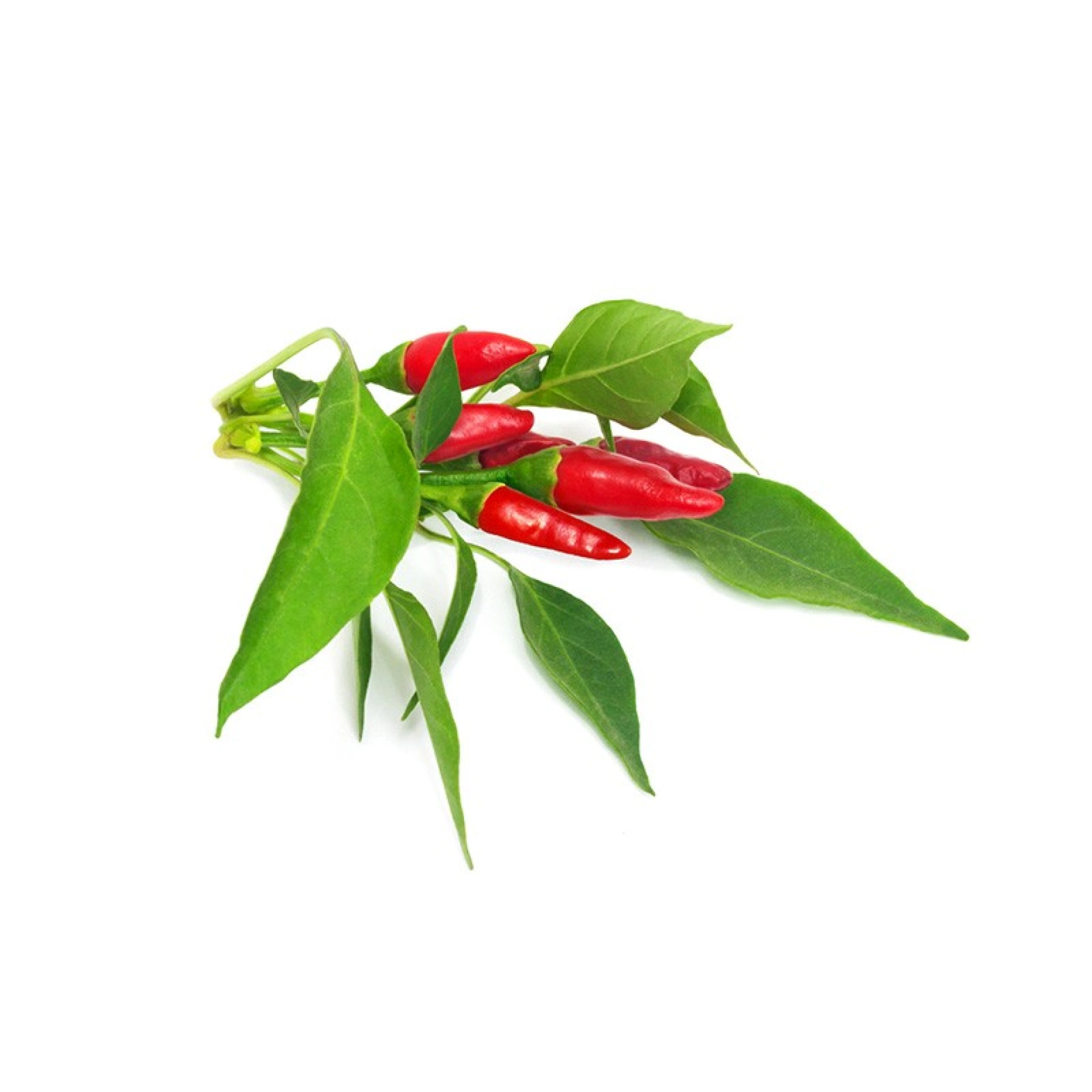 Click and Grow Plant Pods