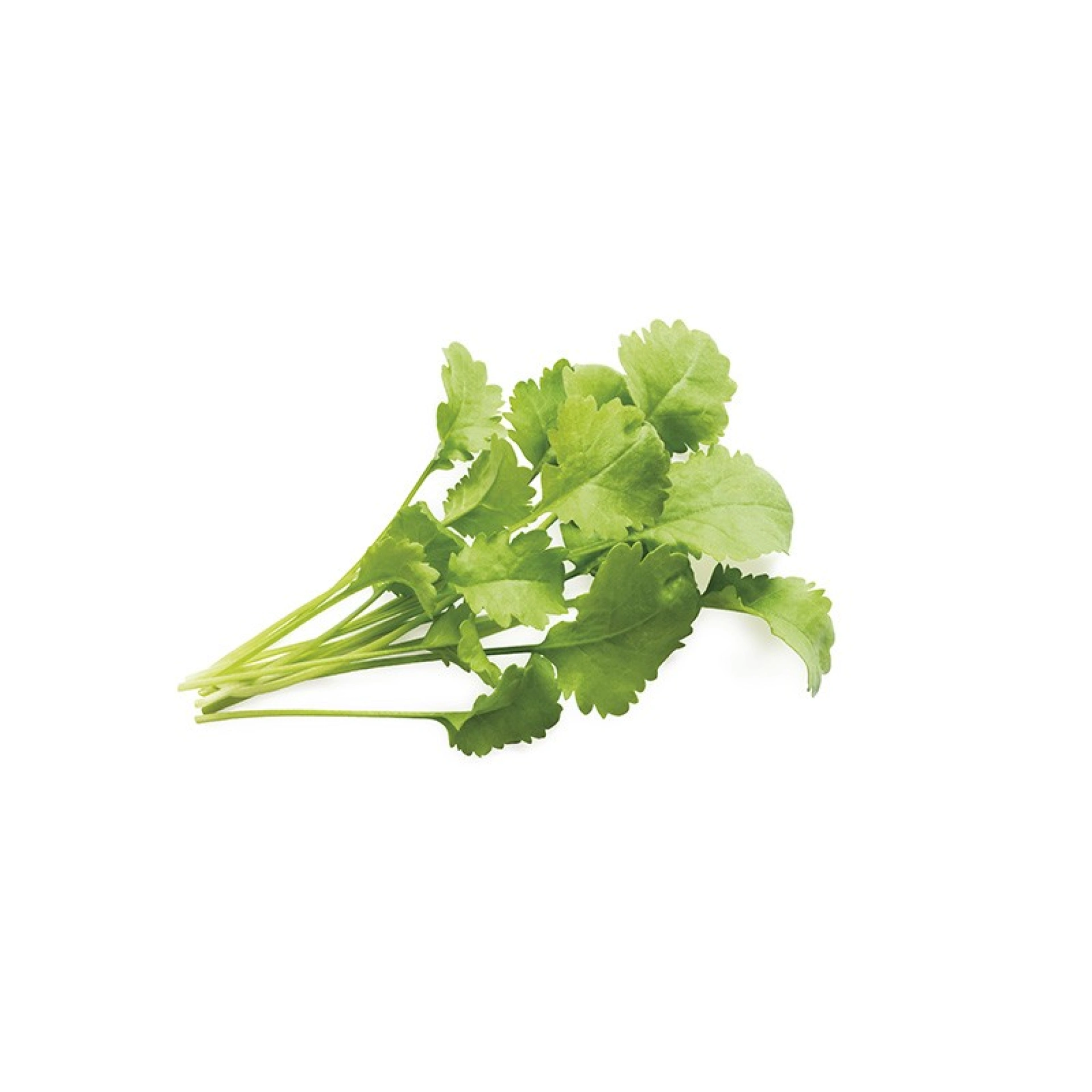 Click and Grow Plantencapsules