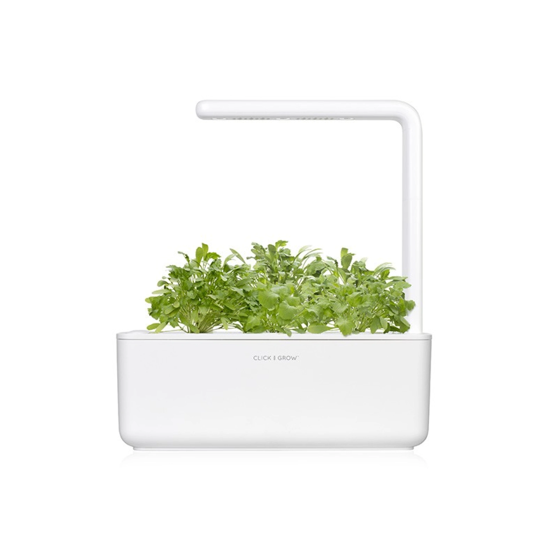Click and Grow Plantencapsules