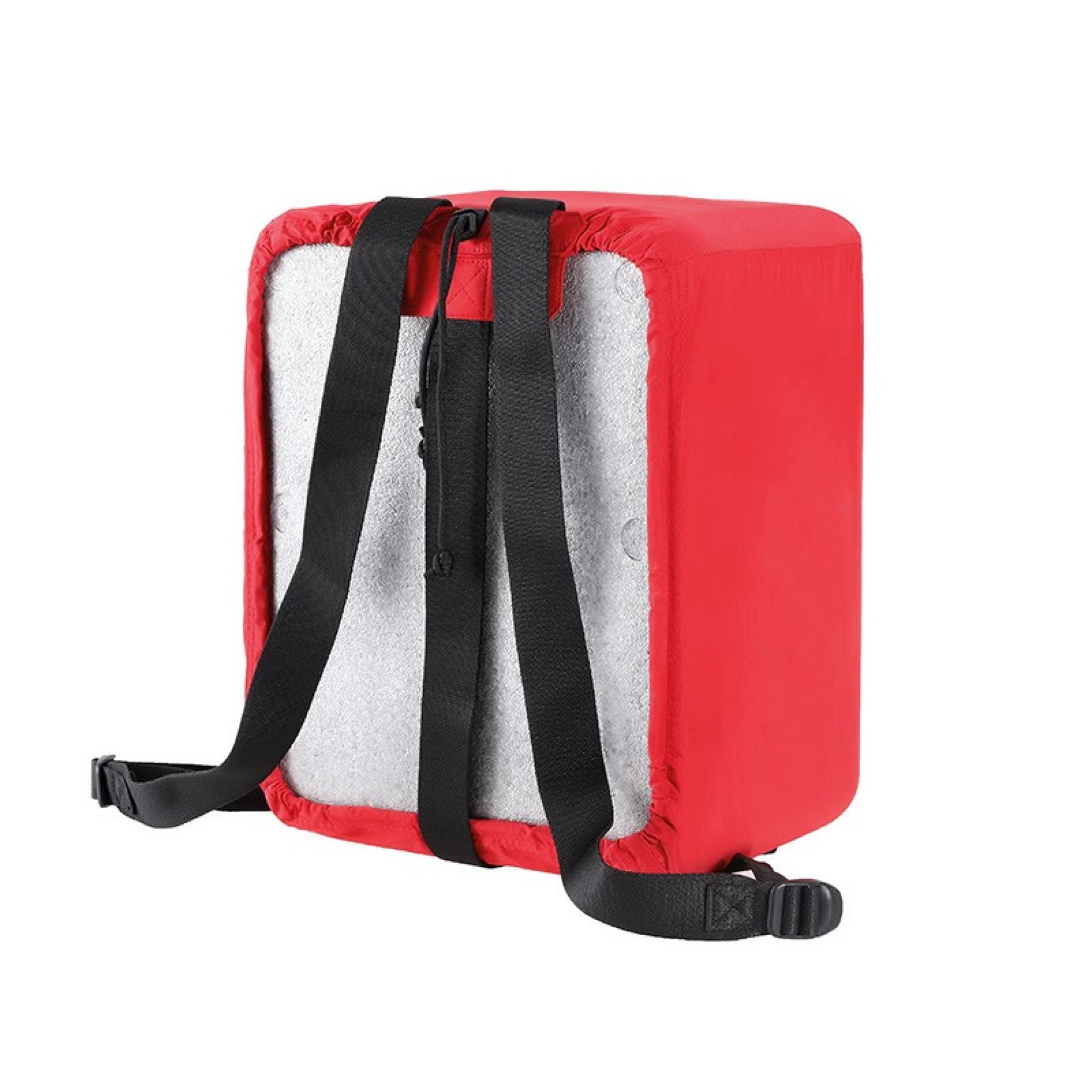 DJI Phantom 4 Series Backpack Cover