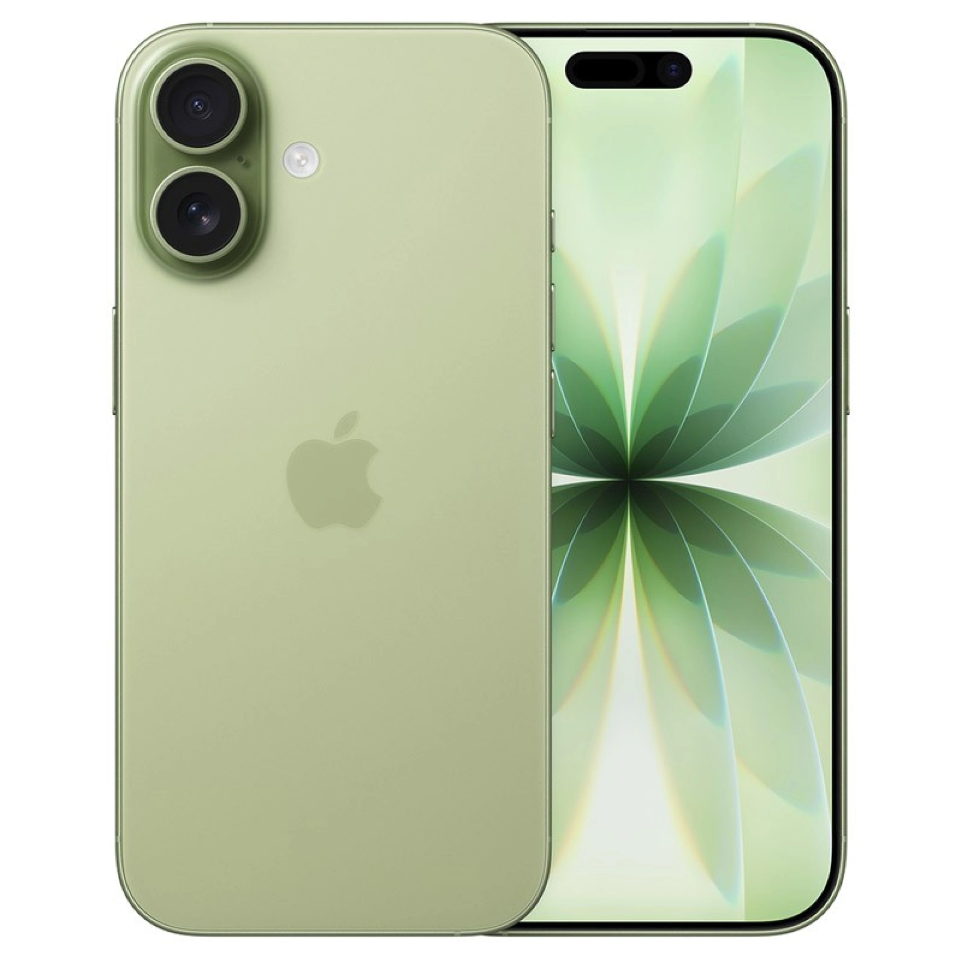 iPhone 17 256 GB Excellent Verde sálvia
