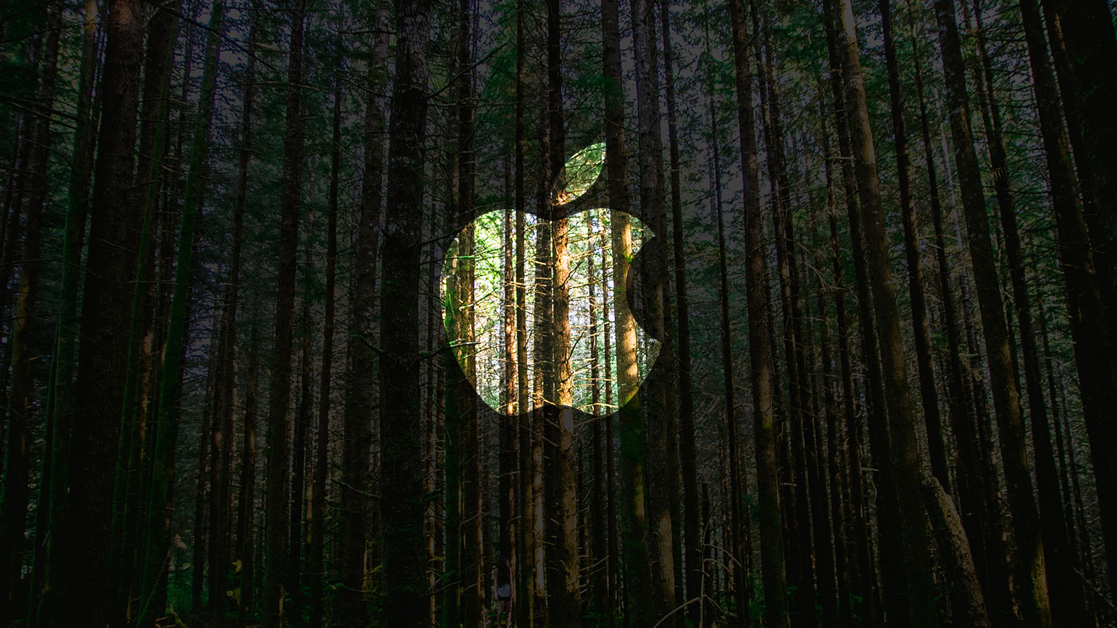 iPhones made from recycled material?