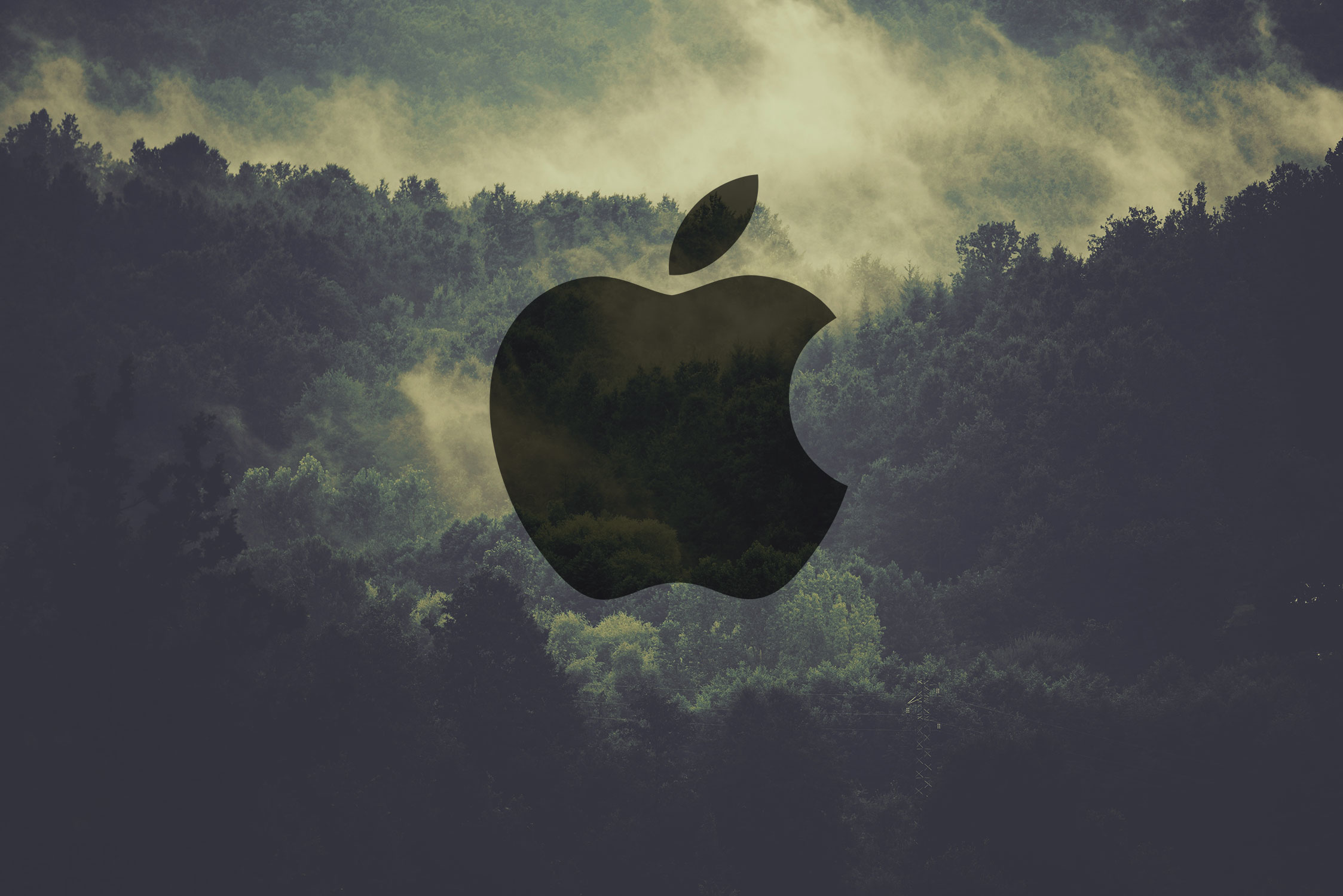 Apple é a empresa mais ecológica do setor tecnológico.