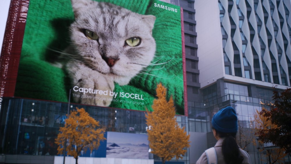 Samsung shows the quality of the new sensor with a giant cat