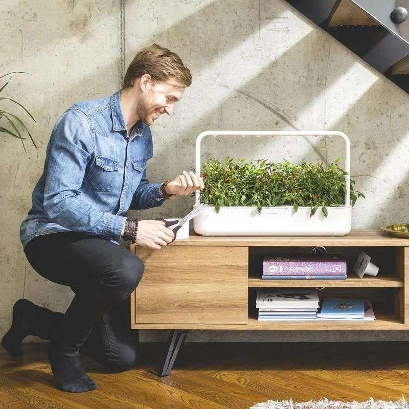 Do you already know Click and Grow Smart Gardens?