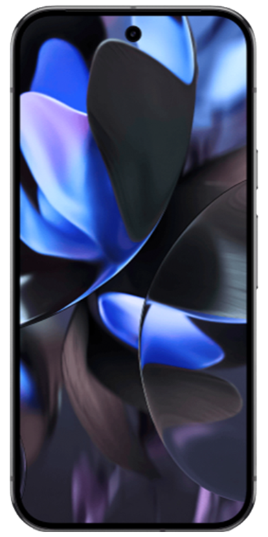Pixel 9 Pro XL