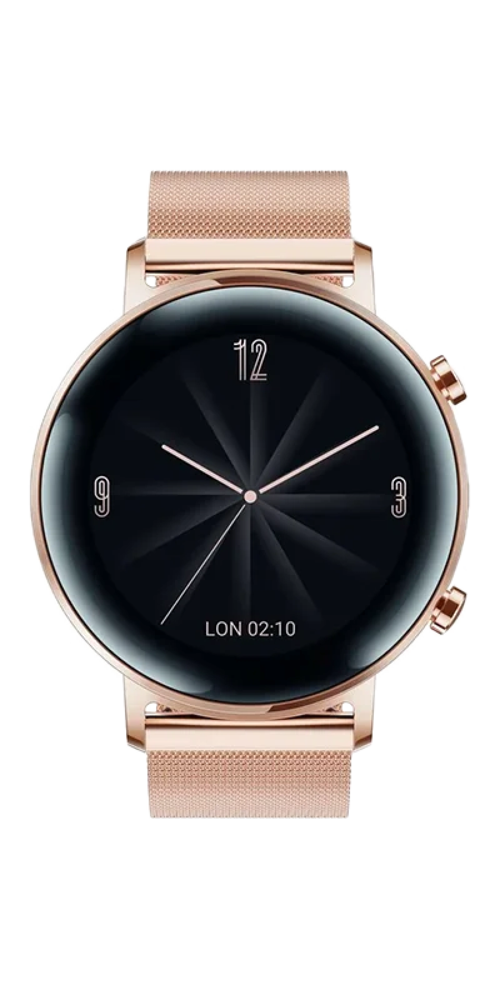 Watch GT 2 46mm
